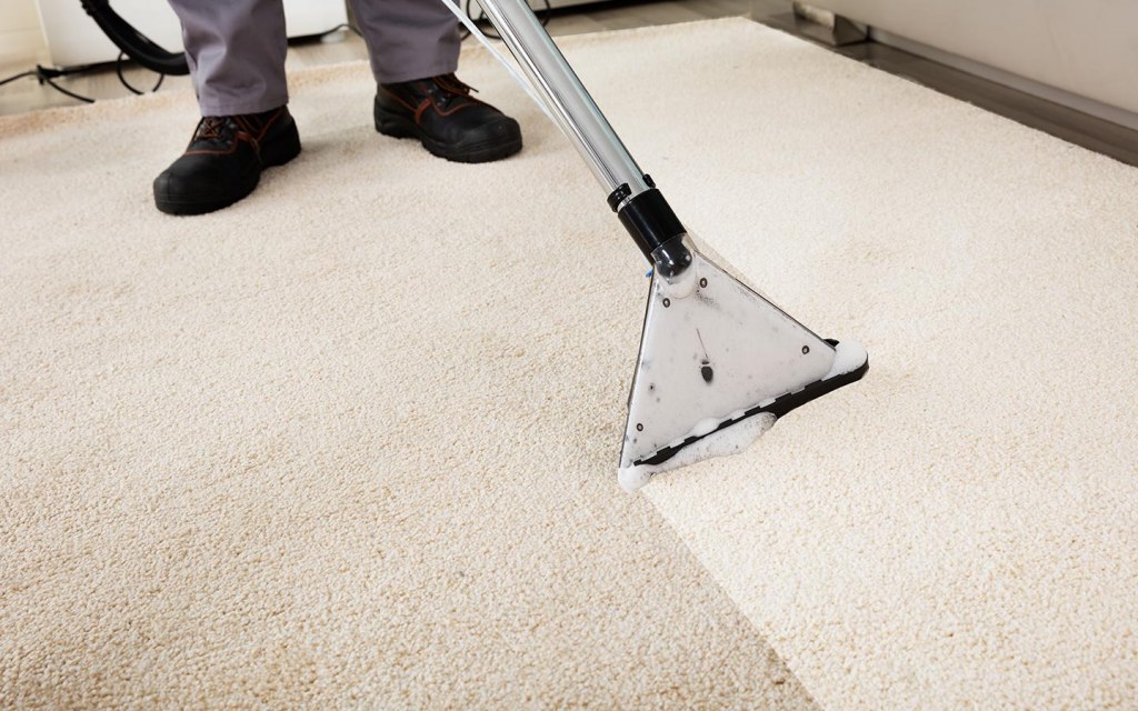 deep clean your carpet