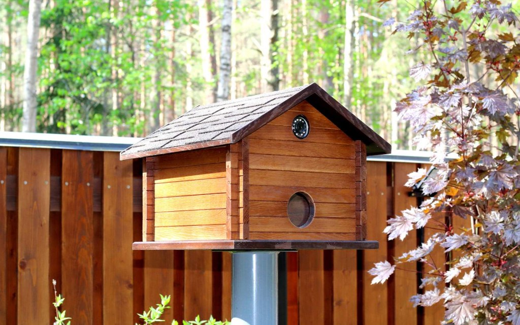 security camera bird house