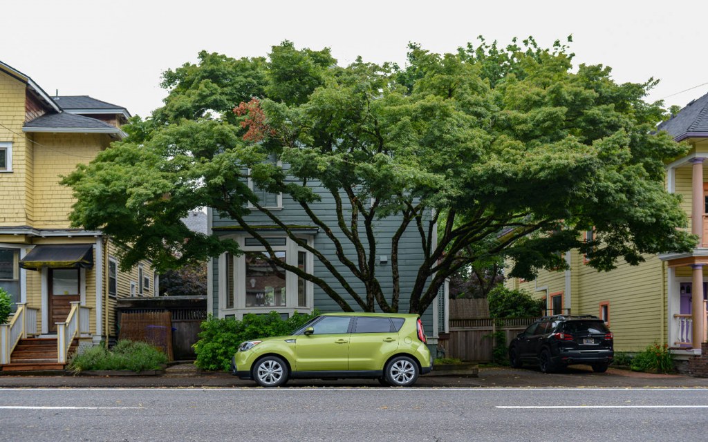 Use Trees To Provide a Shade for Your Car Park