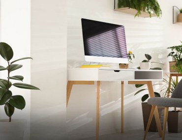 Best plants for workstations