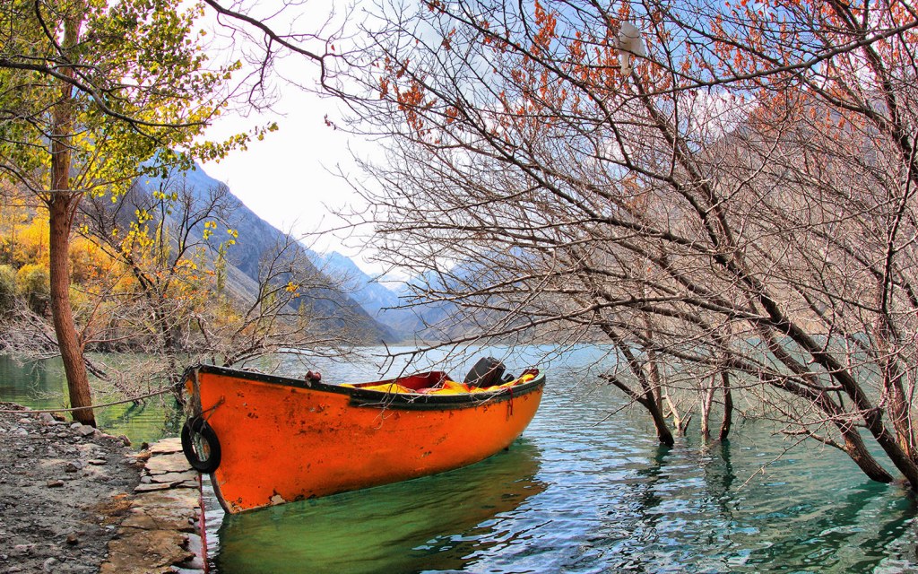 marine life in Pakistan's beaches