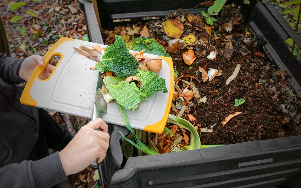 composting for plants and soil