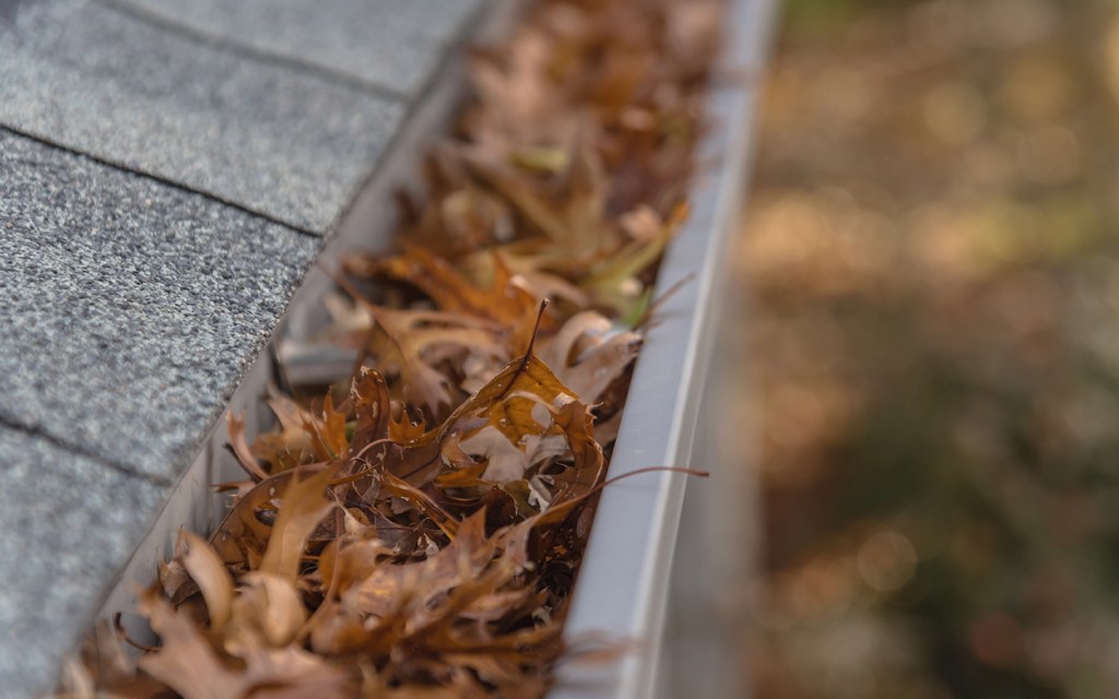 Debris in Drainage System