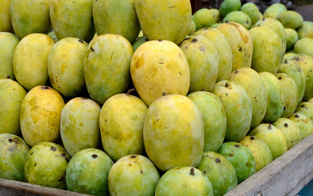  varieties of mangos