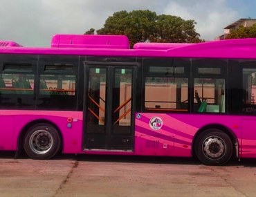 Peoples Pink Bus Service in Karachi: Route, Timings, Fare & More